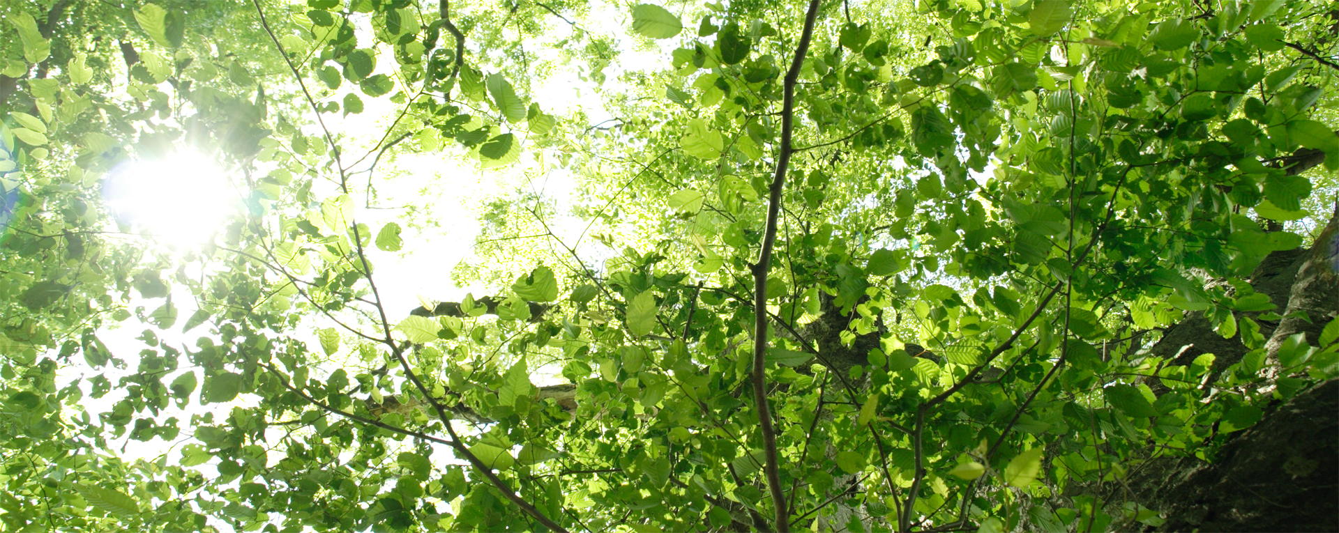 プライバシーポリシー